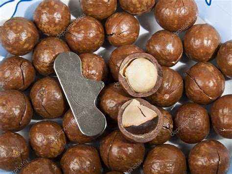 Open Macadamia Nut Shell By Tool — Stock Photo © Topstep07 4599782