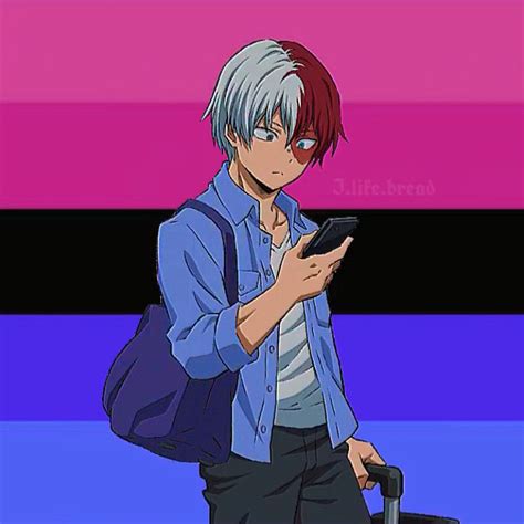 Todoroki Shoto Omni Flag Pride Flags Flag Lgbtq