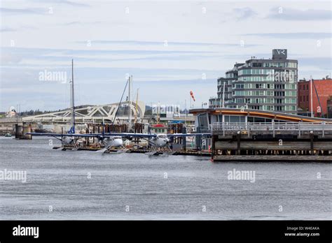 Docked Harbour Air seaplanes at the Victoria Harbour Airport seen from across the downtown ...