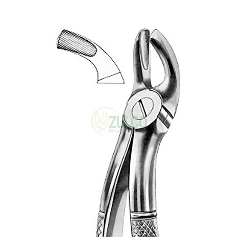 Extracting Forceps English Pattern Fig B Upper Third Molars