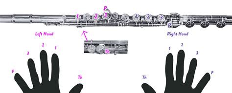 Learn to Play the Flute: A Beginner’s Crash Course! - The Flute Nerd