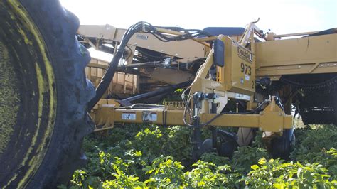 The Gold Standard of Potato Harvesting Equipment