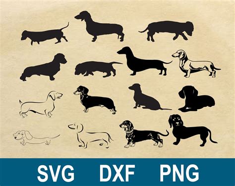 Dachshund Svg Dxf Png Clipart Silhouette And Cut Files Etsy