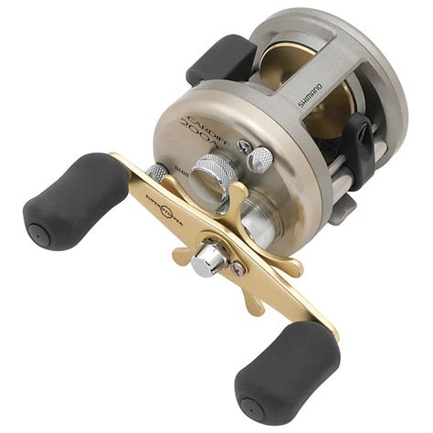 The Best Musky Reel For An Unforgettable Fishing Experience