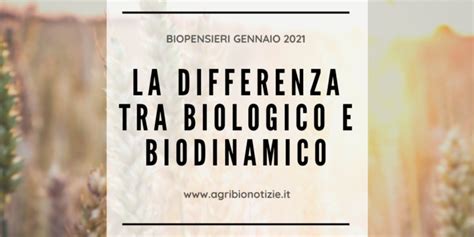 Terra Viva Verona LA DIFFERENZA TRA BIOLOGICO E BIODINAMICO Da