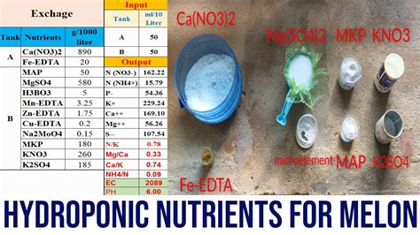 Mixing Fertilizers Hydroponic Nutrients For Melon YouTube