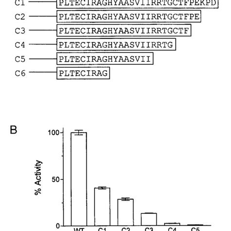 Details Of Various C Terminal Deletions And Their Effects On Ak