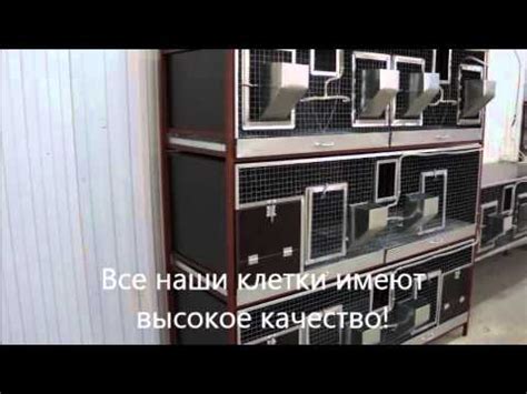 Клетки для кроликов - YouTube