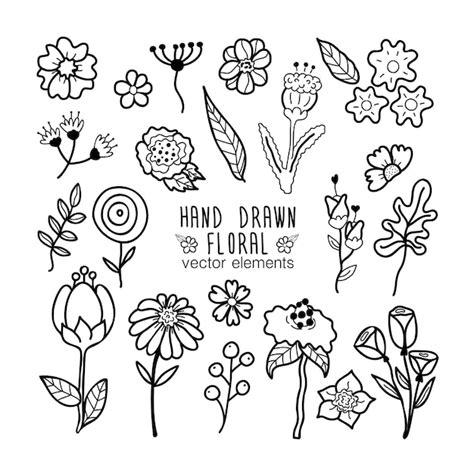 Premium Vector Set Of Hand Drawn Design Floral Elements Stock Vector