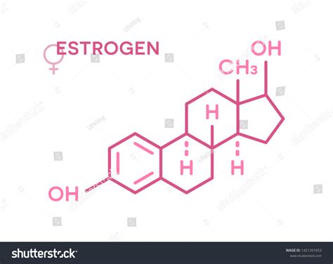 Estrogen Hormones Molecular Formula Sex Hormone Stock Vector Royalty Free 1421391653