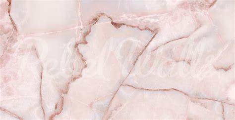 Rose Quartz | Rebel Walls