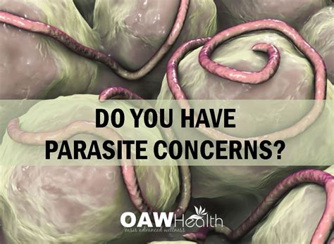 Do You Have Parasite Concerns Oawhealth