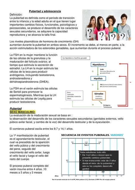 Pubertad y adolescencia Roci Ibañez uDocz