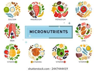 Food Infographic About Micronutrients Vitamins Design Stock Vector