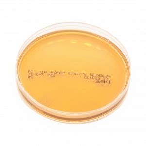 Bacteroides Bile Esculin BBE Agar Medline Industries Inc