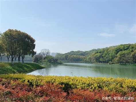 城中绿肺—芜湖神山公园百科ta说