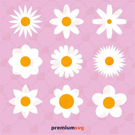 Daisy Flower SVG Bundle, Daisy Bundle Vector Files | PremiumSVG