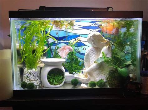 Mermaid Betta Tank