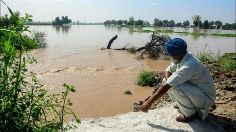 Punjab Ghaggar River Breaches At Three Places In Sangrur District On