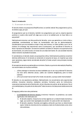 Apuntes Teoria Del Derecho Pdf