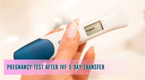 Pregnancy Test After Ivf 5 Day Transfer Life Cycle Blog