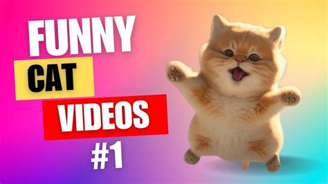 FUNNY CAT VIDEO SERIES #1 - YouTube