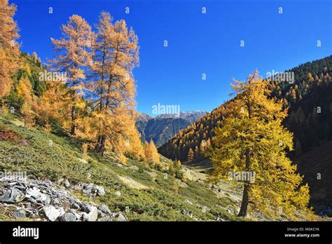 In the tyrolean alps hi-res stock photography and images - Alamy