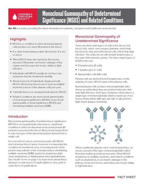 Monoclonal Gammopathy Of Undetermined Significance Mgus And Related Conditions Leukemia And