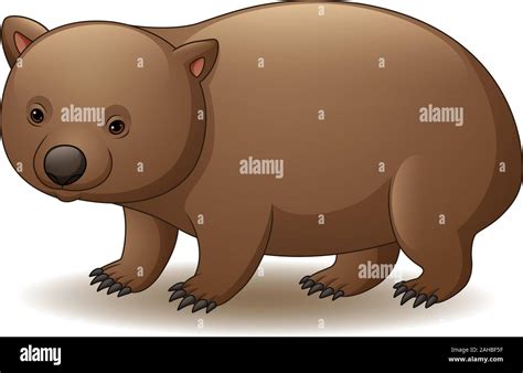 Illustration Of Wombat Isolated On White Background Stock Vector Image And Art Alamy