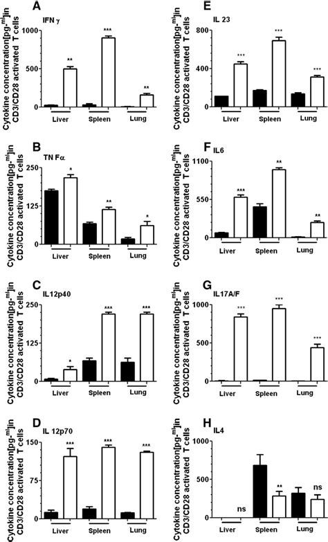 Cd3cd28 Mediated Activation Of T Cells And Cytokine Production In