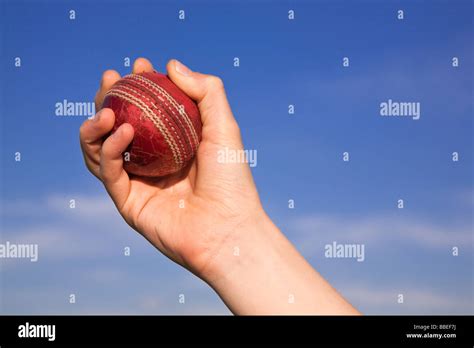 Catch A Cricket Ball