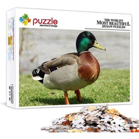 Puzzle Pi Ces Canard Color Puzzle Puzzle Friends D Coration D