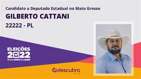 Gilberto Cattani Do Pl Eleito Deputado Estadual Do Mato Grosso Nas