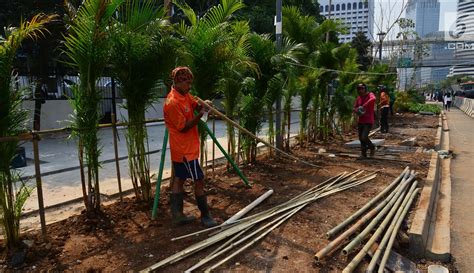 FOTO Percantik Jakarta Jalur Pedestrian Jalan Sudirman Ditanami Pohon