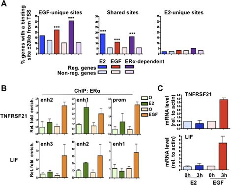 Growth Factor Stimulation Induces A Distinct Erα Cistrome Underlying