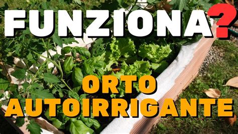 L Orto Autoirrigante Funziona E Sostenibile L Ho Provato Contro