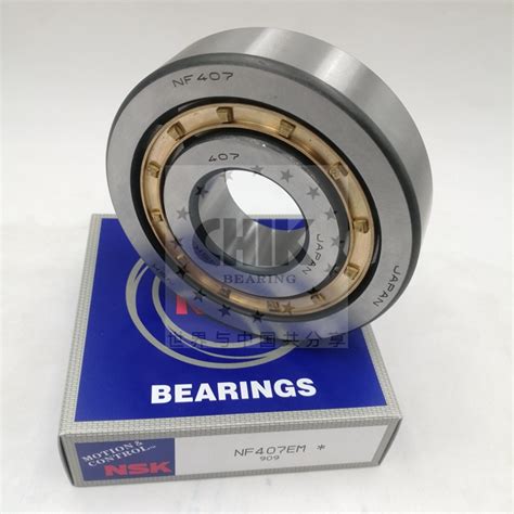 Skf Fag Nj Nj E M C Em Ecm Ecp Ecj Cylindrical Roller Bearing