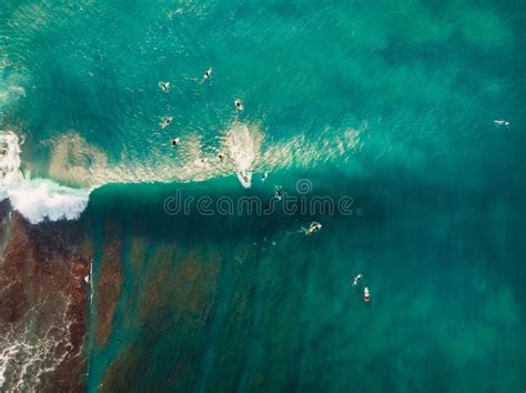 Surfers In Tropical Ocean Waiting Wave Aerial View Made With Drone