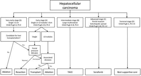 Barcelona Clinic Liver Cancer Staging System Adapted From Forner Et Download Scientific