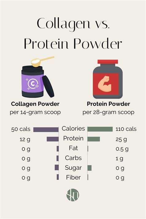 Collagen vs. Protein Powder: Which is Best for You? - Stephanie Kay Nutrition