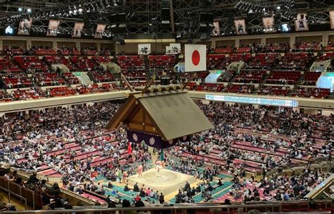 How To Watch Sumo In Tokyo Best Tickets Tours Tips