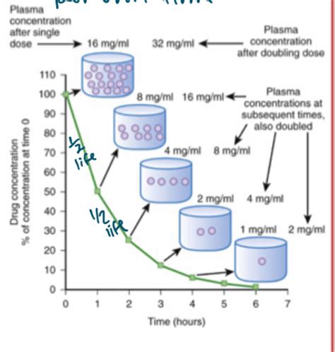 Pharmacokinetics Flashcards Quizlet
