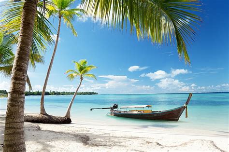 Hd Wallpaper Hawaii Coast Blue Ocean Palms Wind Blue Sky Summer