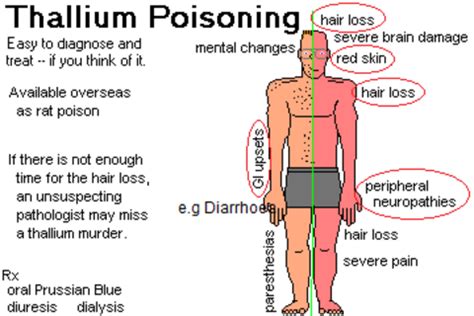 Bristol-Myers Squibb Chemist Used Thallium to Poison Husband ...