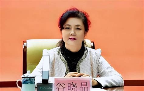 女厅官被公诉近3个月后，更多涉案细节披露谷晓晶问题中央纪委