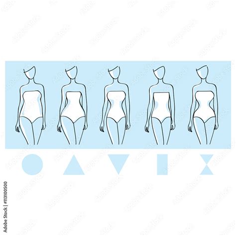 Woman body types. Female body shapes. Round, rectangle, triangle ...