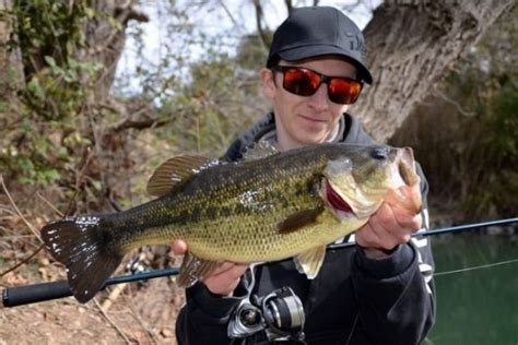 Pesca Del Black Bass En Otoño Señuelos Y Técnicas A Utilizar