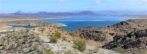 Alamo Lake State Park Arizona