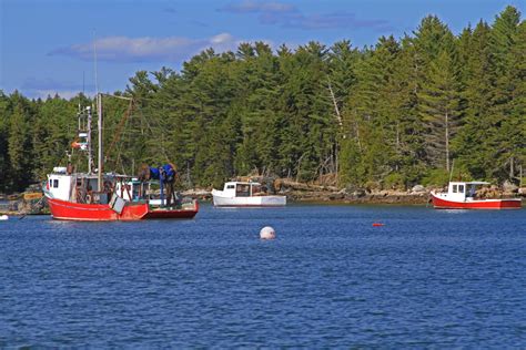 Michelle Gage Photography: Hog Island Maine