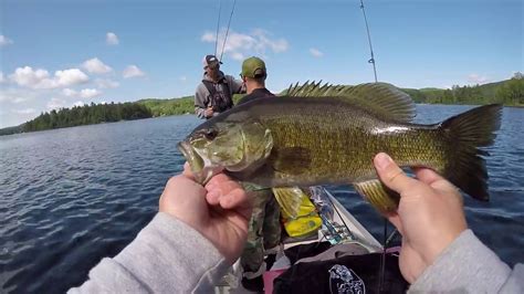 Fishing For Smallmouth Bass Youtube